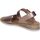 Chaussures Femme Sandales et Nu-pieds Skechers 114144-RSGD Beige