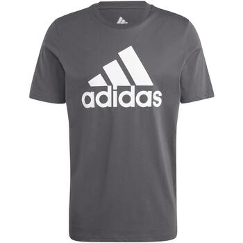 Vêtements Homme T-shirts manches courtes adidas Originals M bl sj t Gris