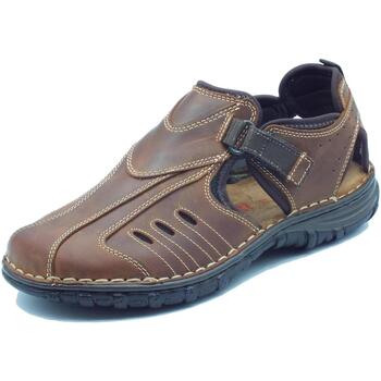 Chaussures Homme Sandales et Nu-pieds Zen 3002 Arabia Marron
