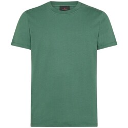 Vêtements Homme T-shirts manches courtes Peuterey  Vert