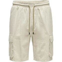 Vêtements Homme Shorts / Bermudas Only & Sons  22028269 Argenté