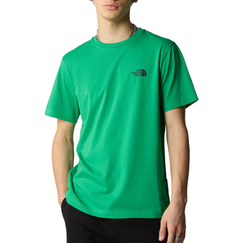 Vêtements Homme T-shirts manches courtes The North Face Simple Dome Vert