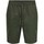 Vêtements Homme Shorts / Bermudas Only & Sons  22024967 Vert
