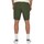 Vêtements Homme Shorts / Bermudas Only & Sons  22024967 Vert