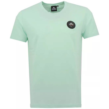 Vêtements Homme T-shirts & Polos Helvetica JONES Vert