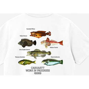 Vêtements Homme T-shirts Aeroreact courtes Carhartt - S/S FISH T-SHIRT Blanc