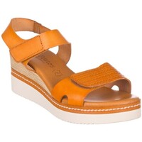 Chaussures Femme Sandales et Nu-pieds Zapp 565 Orange