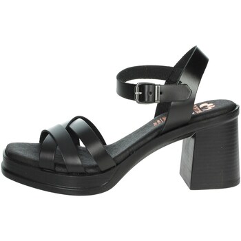 Chaussures Femme Tops / Blouses Porronet FI2976 Noir