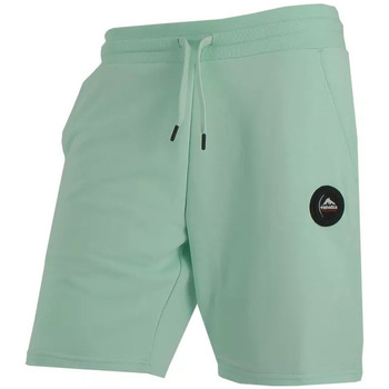 Vêtements Homme Shorts / Bermudas Helvetica ALLEN Vert