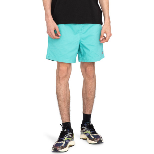 Vêtements Homme Shorts / Bermudas Element Valley Twill Vert