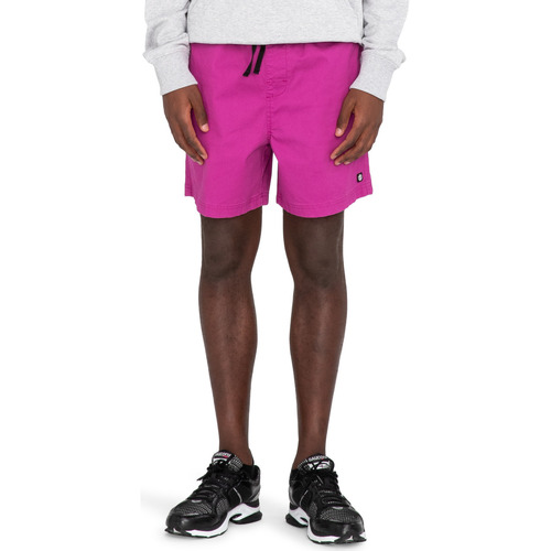 Vêtements Homme Shorts / Bermudas Element Valley Twill Violet