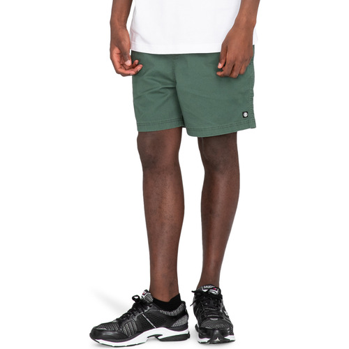 Vêtements Homme Shorts / Bermudas Element Valley Twill Vert