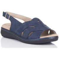 Chaussures Femme Escarpins Pitillos 5581 Bleu