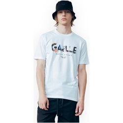 Vêtements Homme T-shirts & Polos GaËlle Paris GAABM00129PTTS0043 BI01 Blanc