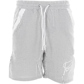Vêtements Homme Shorts / Bermudas Project X Paris Short Gris