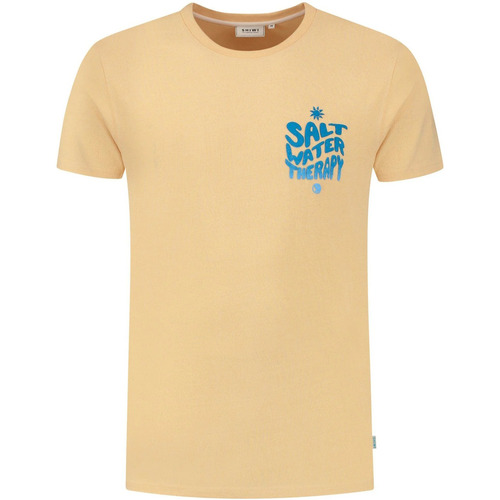 Vêtements Homme T-shirts & Polos Shiwi T-Shirt Salt Water Cayman Peach Orange
