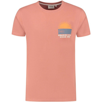 Vêtements Homme T-shirts manches courtes Shiwi T-shirt Sunset Faded Pink Rose