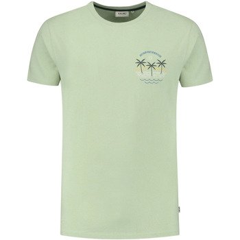 Vêtements Homme T-shirts & Polos Shiwi T-Shirt Antigua Port Dust Green Vert
