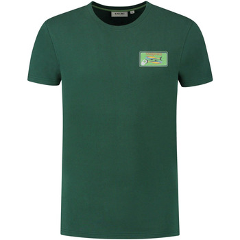 Vêtements Homme T-shirts manches courtes Shiwi T-Shirt Sardines Cilantro Green Vert