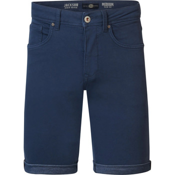 Vêtements Homme Shorts / Bermudas Petrol Industries Sungreet Short Bleu Clair Bleu