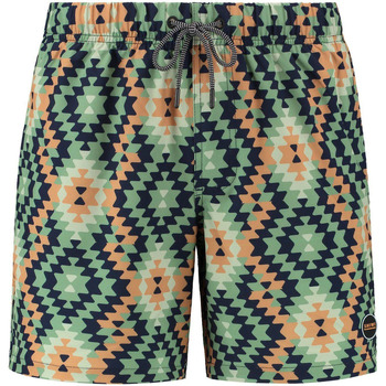Vêtements Homme Maillots / Shorts de bain Shiwi Short de Bain Mayan Print Vert Vert