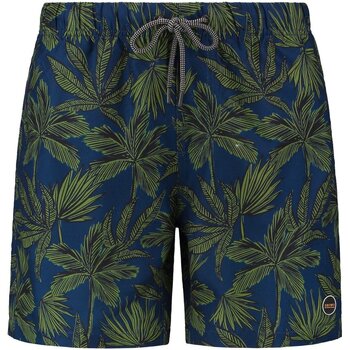 Vêtements Homme Maillots / Shorts de bain Shiwi Short de Bain Impression Palms Marine Bleu
