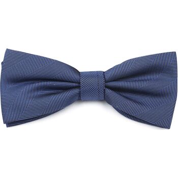 Vêtements Homme Cravates et accessoires Suitable Bowtie Herringbone Navy Bleu