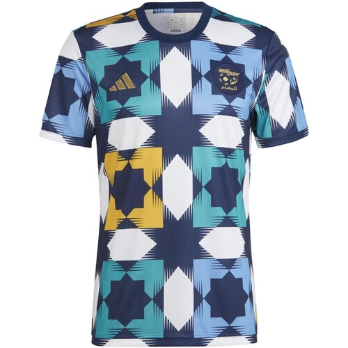 Vêtements Homme T-shirts & Polos adidas Originals FAF 22 PRESHI Bleu