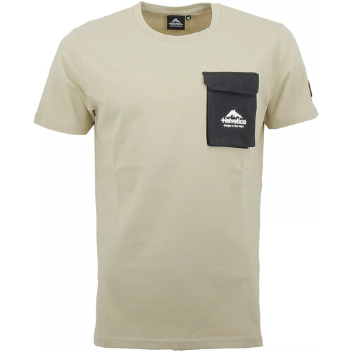 Vêtements Homme T-shirts & Polos Helvetica BROWN Beige