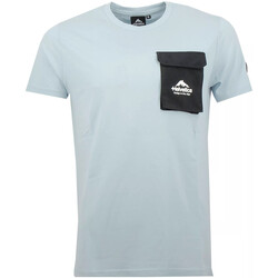 Vêtements Homme T-shirts & Polos Helvetica BROWN Bleu