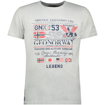 Vêtements Homme T-shirts manches courtes Geo Norway SW1562HGNO-LIGHT GREY Gris