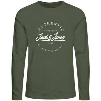 Vêtements Garçon T-shirts manches longues Jack & Jones 12218637 Vert