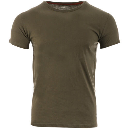 Vêtements Homme T-shirts manches courtes Schott SC-LLOYDONECK Vert