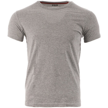 Vêtements Homme T-shirts manches courtes Schott SC-LLOYDONECK Gris