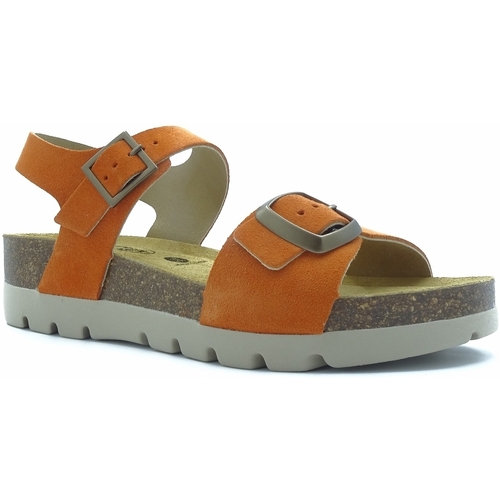 Chaussures Femme Sandales et Nu-pieds Plakton COOL 356219 Orange