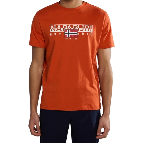 Vêtements Homme T-shirts manches cinzento Napapijri Nappapijri Geographic S-Aylmer Orange