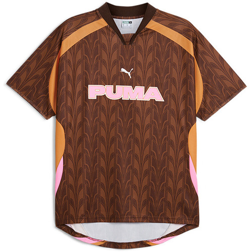 Vêtements Homme T-shirts & Polos Puma Jersey Football / Marron Marron