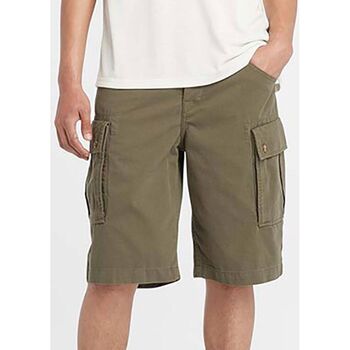 Vêtements Homme Shorts / Bermudas Timberland TB0A5U1B - BROOKLINE TWILL CARGO SHORT-A581 LEAG GREEN Vert