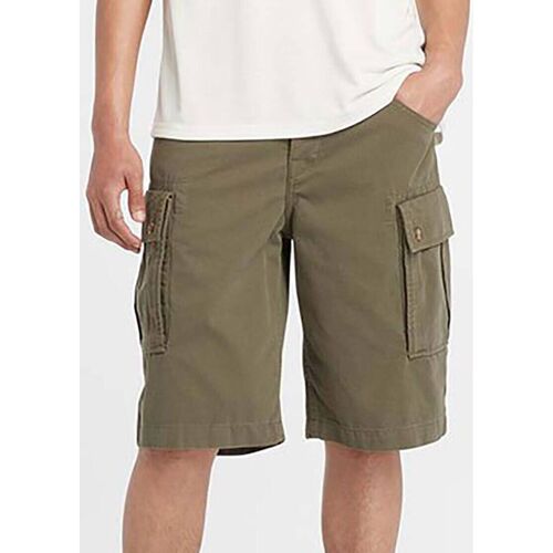 Vêtements Homme Shorts / Bermudas Timberland TB0A5U1B - BROOKLINE TWILL CARGO SHORT-A581 LEAG GREEN Vert