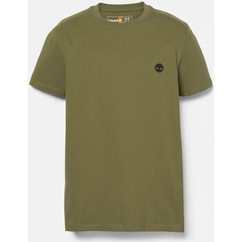 Vêtements Homme T-shirts & Polos Timberland TB0A2BPREG51 DUN-RIVER-SPHAGNUM Vert