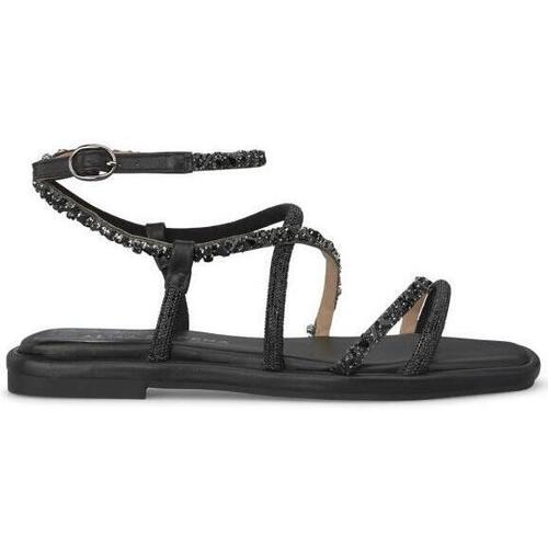 Chaussures Femme Sandales et Nu-pieds Alma En Pena V240830 Noir