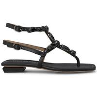 Chaussures Femme Sandales et Nu-pieds Alma En Pena V240772 Noir