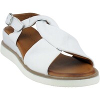 Chaussures Femme Sandales et Nu-pieds Coco & Abricot Missecle-V2689G Blanc