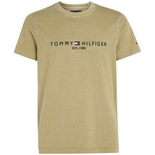 Vêtements Homme T-shirts & Polos Tommy Hilfiger MW0MW35186-L9F FADED OLIVE Vert