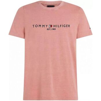 Vêtements Homme T-shirts & Polos Tommy Hilfiger MW0MW35186-TJ5 TEABERRY BLOSSOM Rose