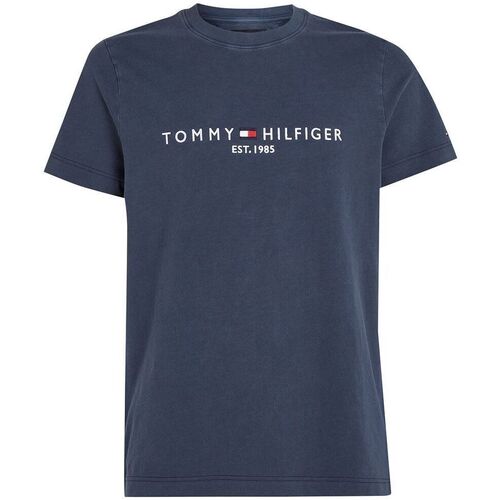 Vêtements Homme Dotted Collared Polo Shirt Tommy Hilfiger MW0MW35186-DW5 DESERT SKY Bleu