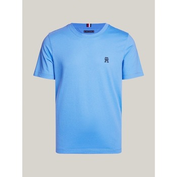 Vêtements Homme T-shirts & Polos Tommy Hilfiger MW0MW33987 Bleu