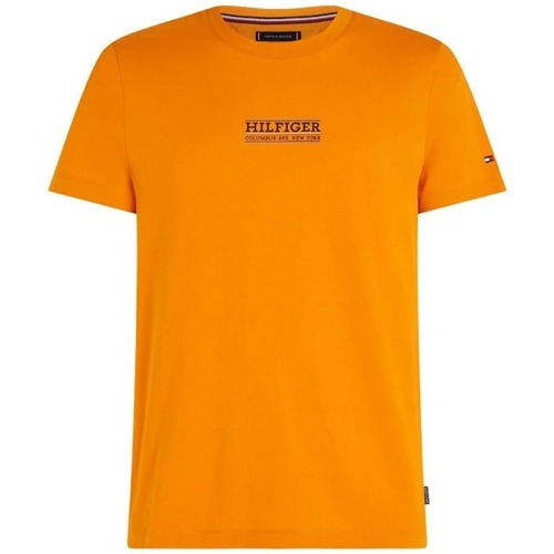 Vêtements Homme T-shirts & Polos Tommy Hilfiger MW0MW34387 Orange