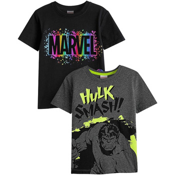Vêtements Garçon T-shirts manches courtes Marvel Smash Noir