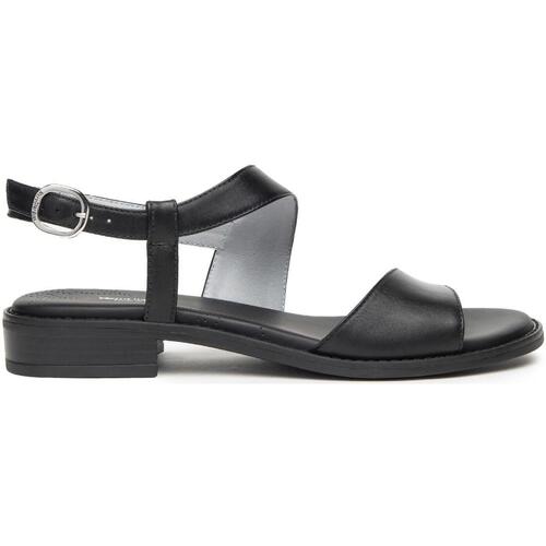 Chaussures Femme Sandales et Nu-pieds NeroGiardini NGDPE24-410460-blk Noir